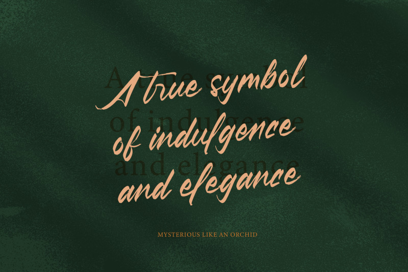 pluretta-vintage-modern-brush-font