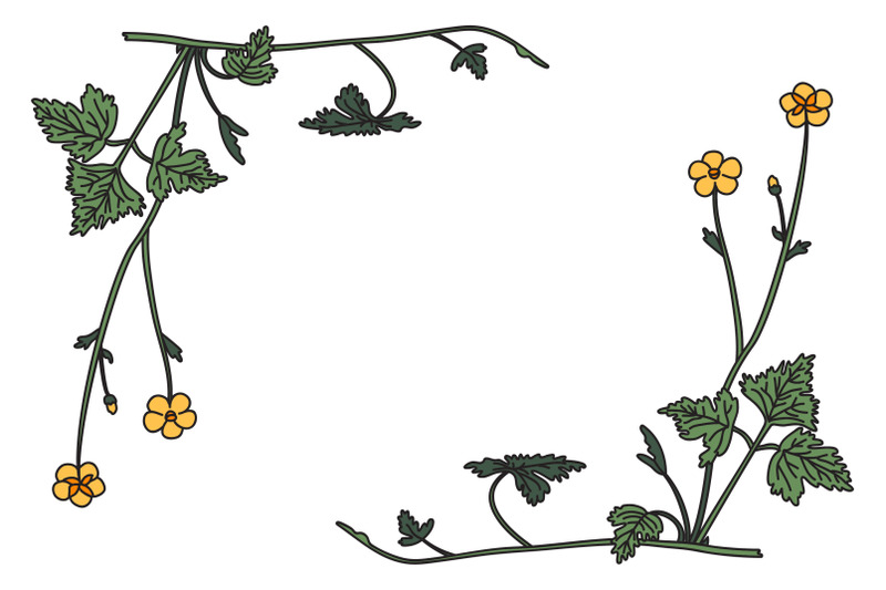 botanical-floral-corner-border-isolated-on-white-background-vector