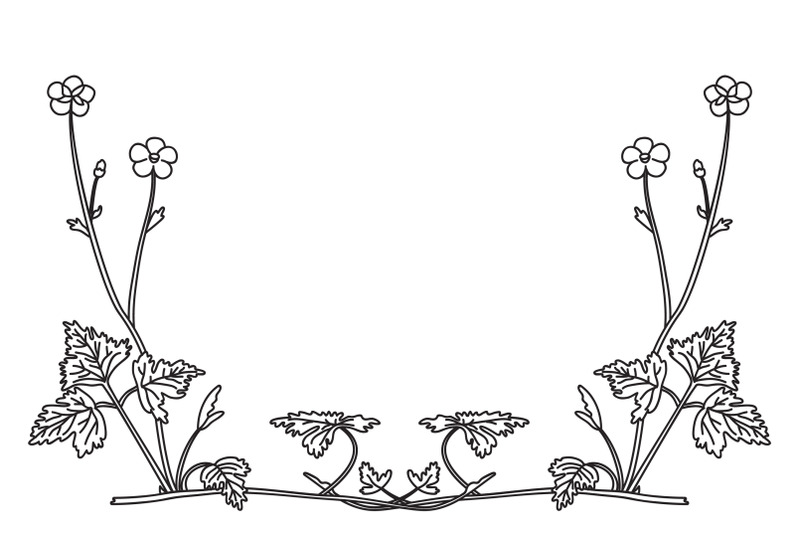 line-art-botanical-floral-border-corner-isolated-on-white-background