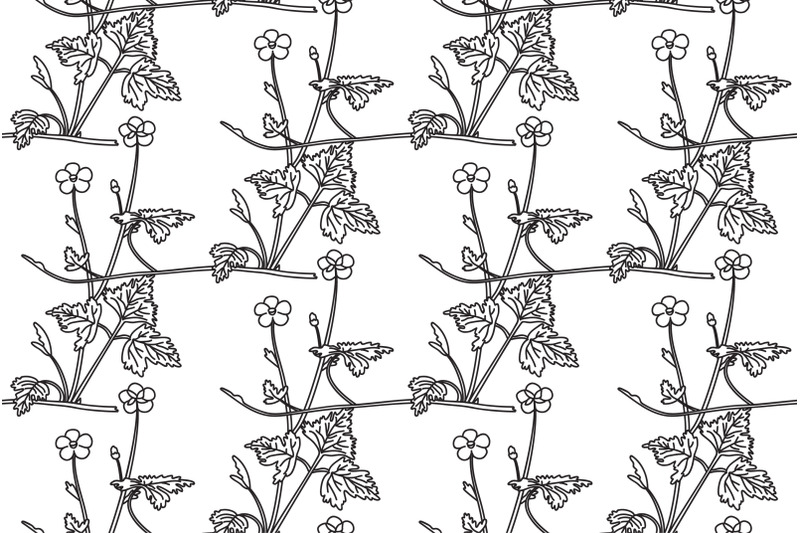 line-art-botanical-floral-meadow-seamless-pattern-vector-illustration