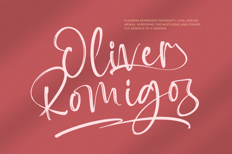 baplosy-startera-bold-brush-font