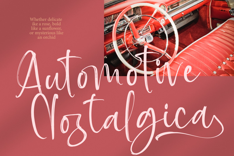 baplosy-startera-bold-brush-font