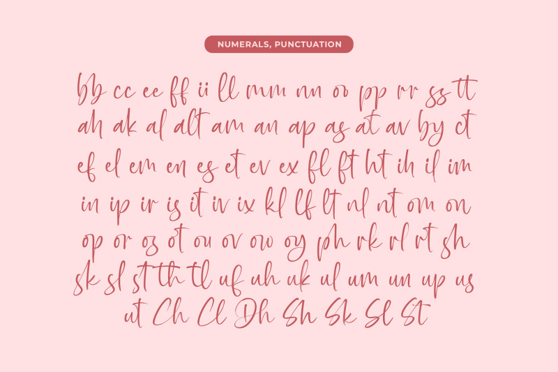 baplosy-startera-bold-brush-font