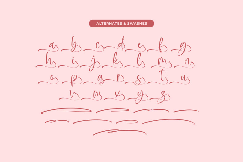 baplosy-startera-bold-brush-font