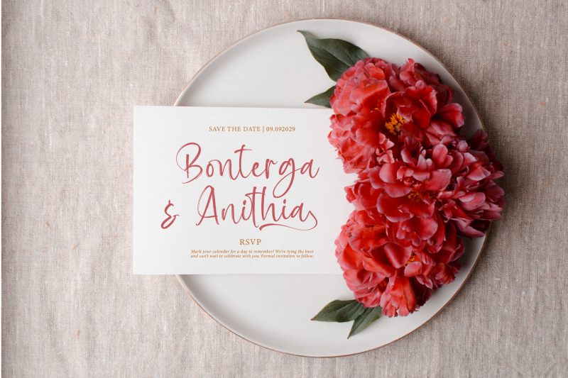 baplosy-startera-bold-brush-font