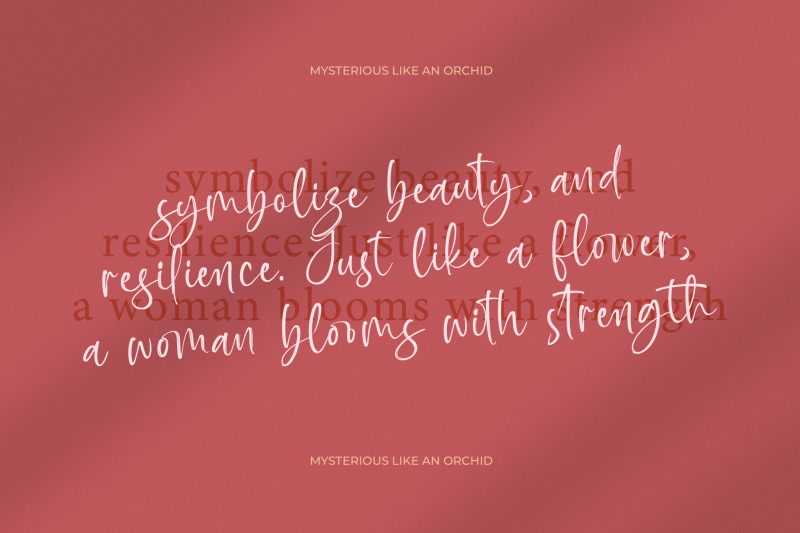 baplosy-startera-bold-brush-font