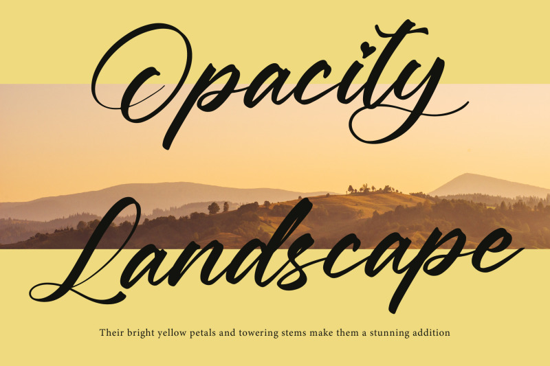 boytang-keghora-calligraphy-font-type