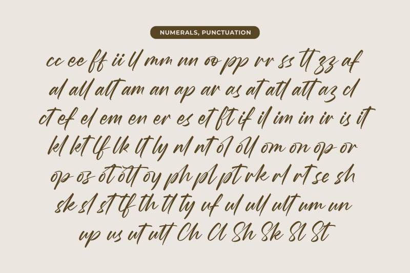 wystine-esphelta-modern-brush-font