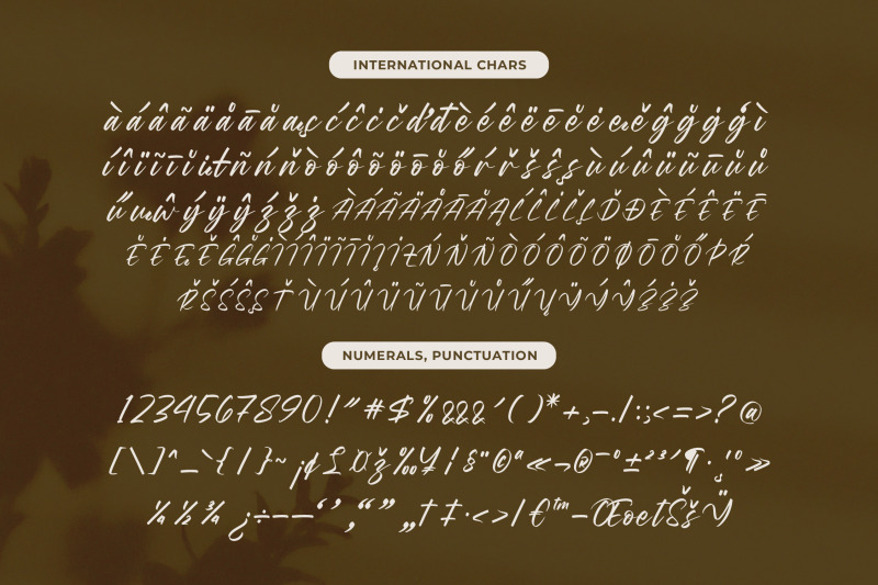 wystine-esphelta-modern-brush-font