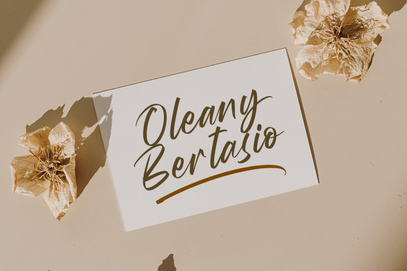 wystine-esphelta-modern-brush-font