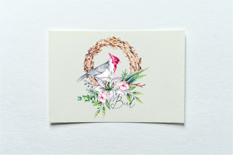 birds-in-bloom-watercolor-floral-set