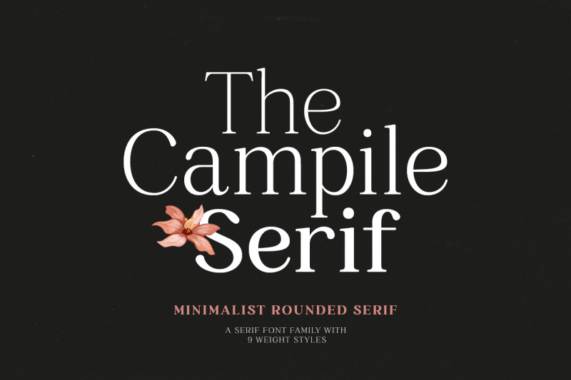 campile-minimalist-rounded-serif