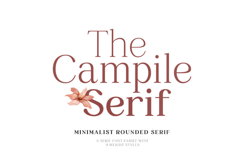 campile-minimalist-rounded-serif