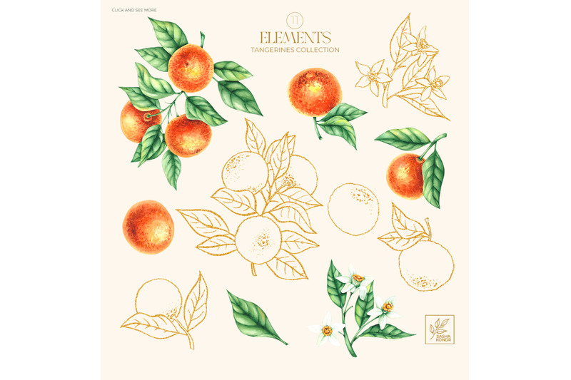 tangerines-watercolor-collection