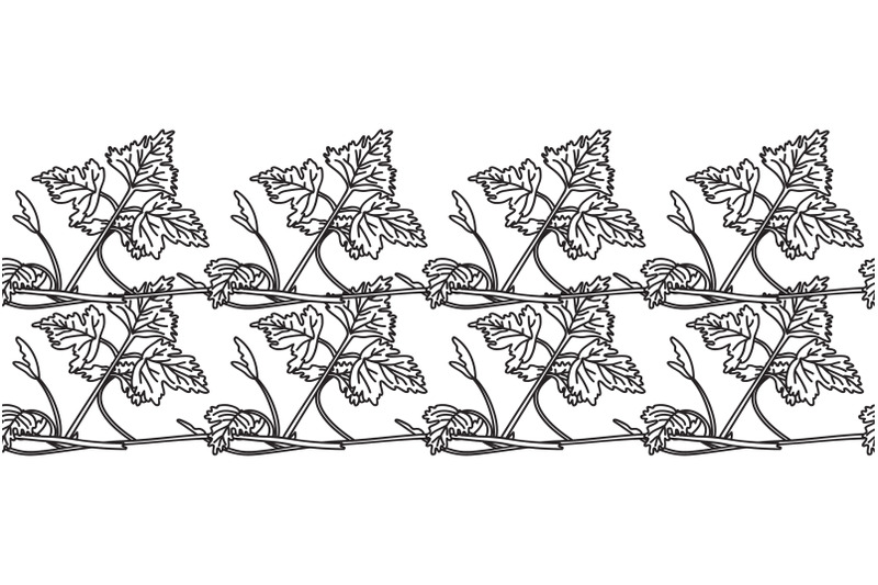 line-art-botanical-floral-horizontal-border-with-grapevine-isolated