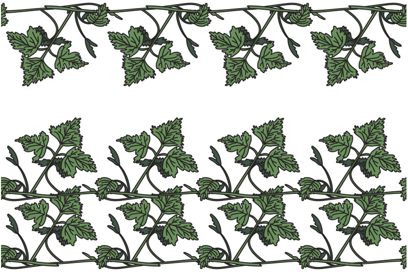 botanical-floral-horizontal-border-with-grapevine-isolated-on-white-bg