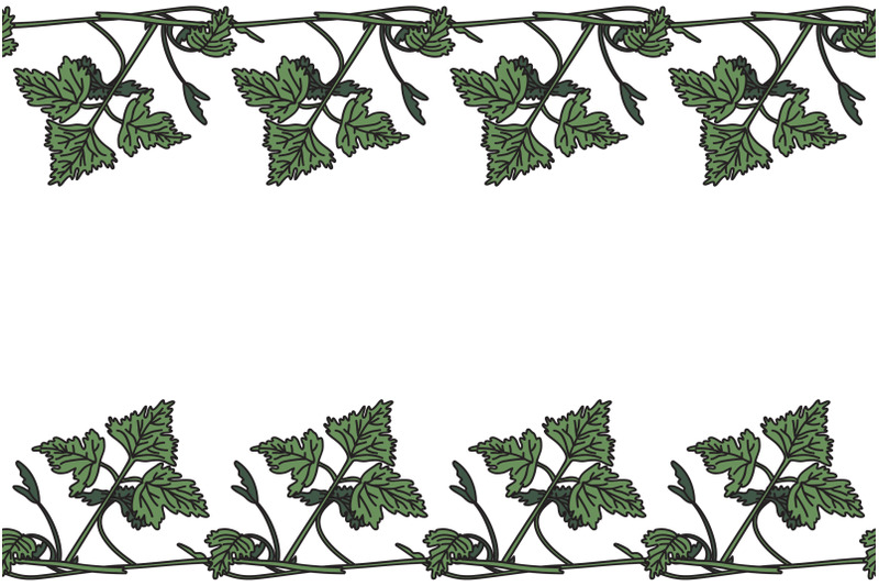 botanical-floral-horizontal-border-with-grapevine-isolated-on-white-bg