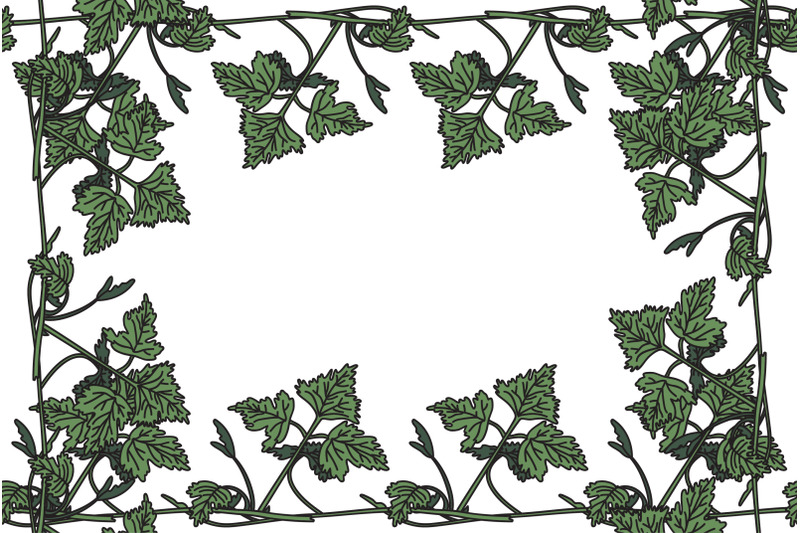 botanical-floral-frame-with-grapevine-isolated-on-white-background