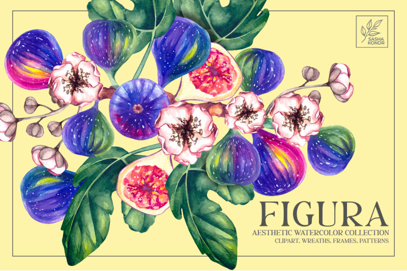 fig-plant-watercolor-clipart