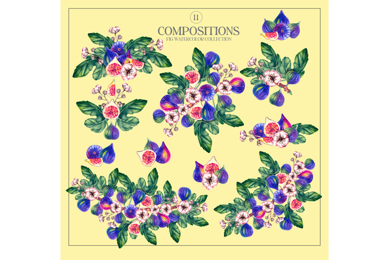fig-plant-watercolor-clipart