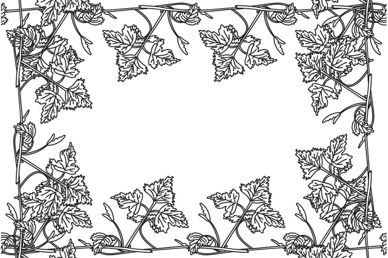 line-art-botanical-floral-frame-with-grapevine-isolated-on-white-backg