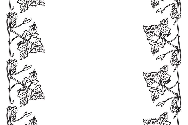 line-art-botanical-floral-vertical-border-with-grapevine-isolated