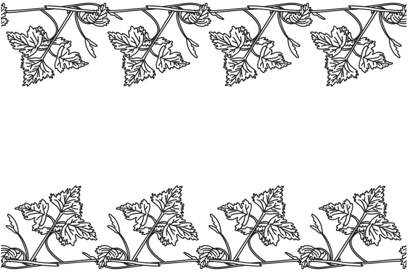 line-art-botanical-floral-horizontal-seamless-border-with-grapevine