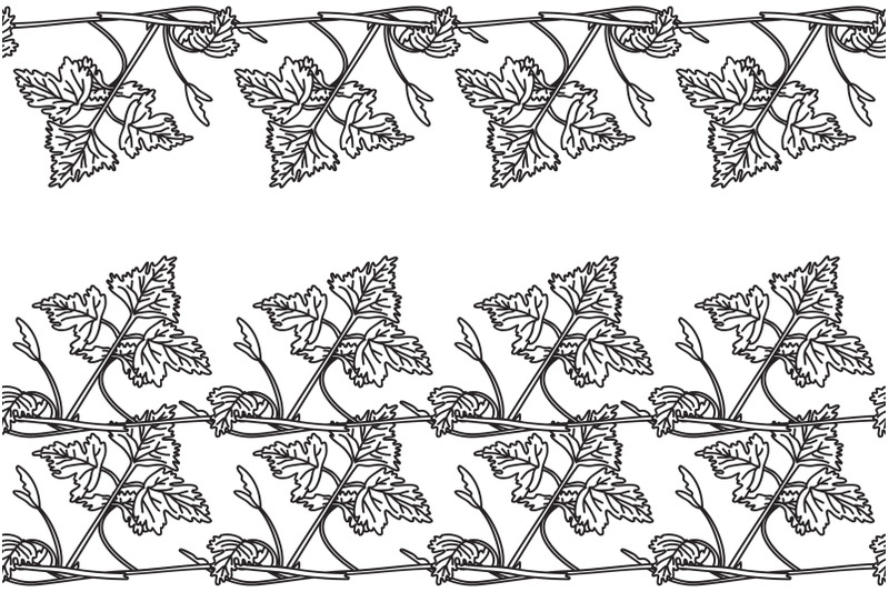 line-art-botanical-floral-horizontal-seamless-border-with-grapevine