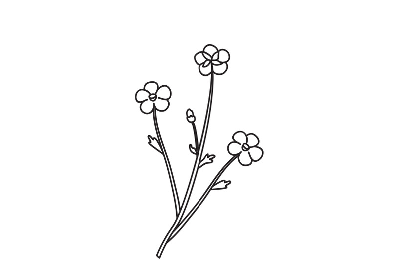 line-art-botanical-floral-meadow-bouquet-doodle-isolated-on-white-back