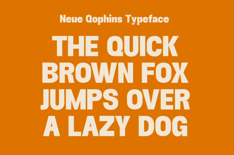 neue-qophins