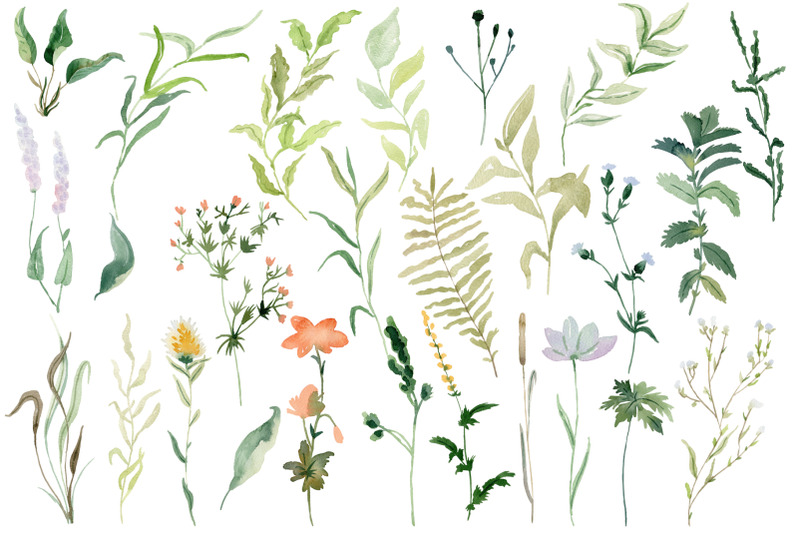 watercolor-forest-animals-clipart
