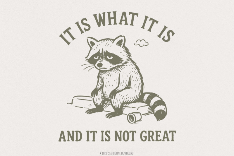 it-is-what-it-is-and-it-is-not-great-png-sad-raccoon-shirt-sarcastic