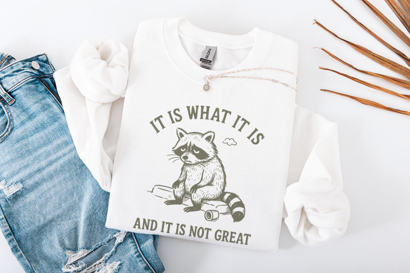 it-is-what-it-is-and-it-is-not-great-png-sad-raccoon-shirt-sarcastic