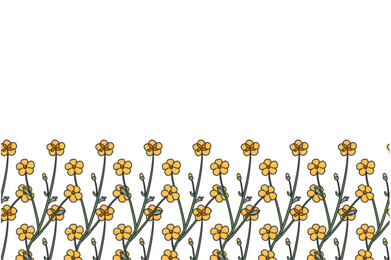 botanical-floral-horizontal-border-with-meadow-flowers-isolated-vector