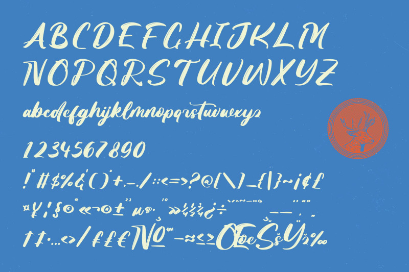 skanika-bold-handwritten-font
