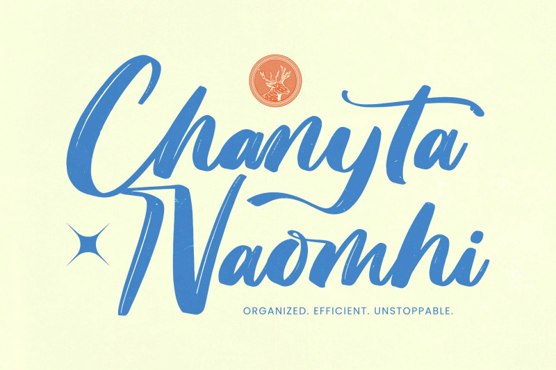 skanika-bold-handwritten-font