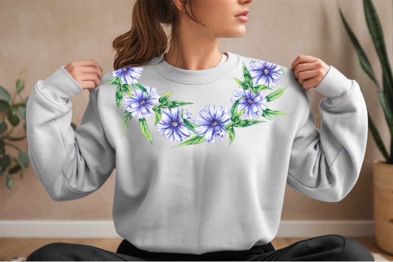 chicory-plant-watercolor-collection