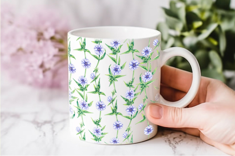 chicory-plant-watercolor-collection