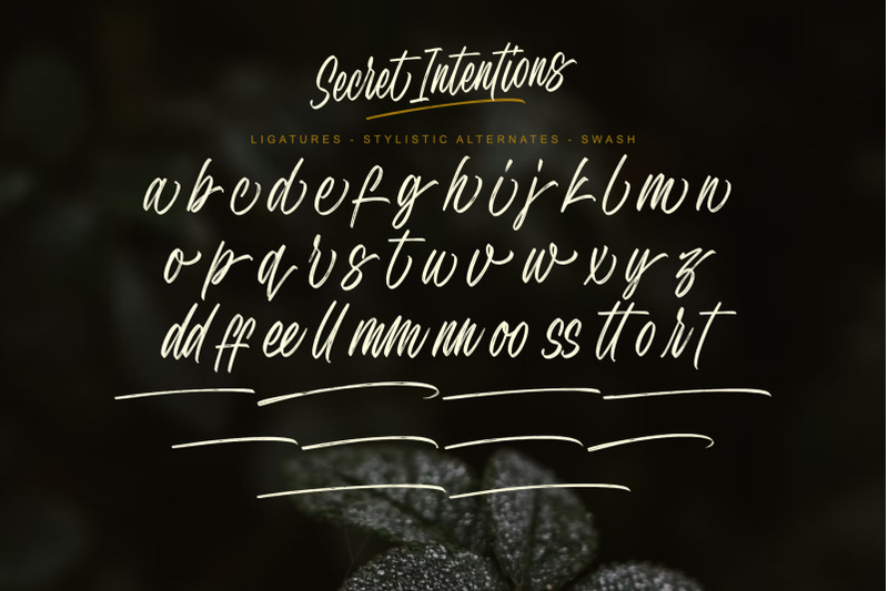 secret-intentions