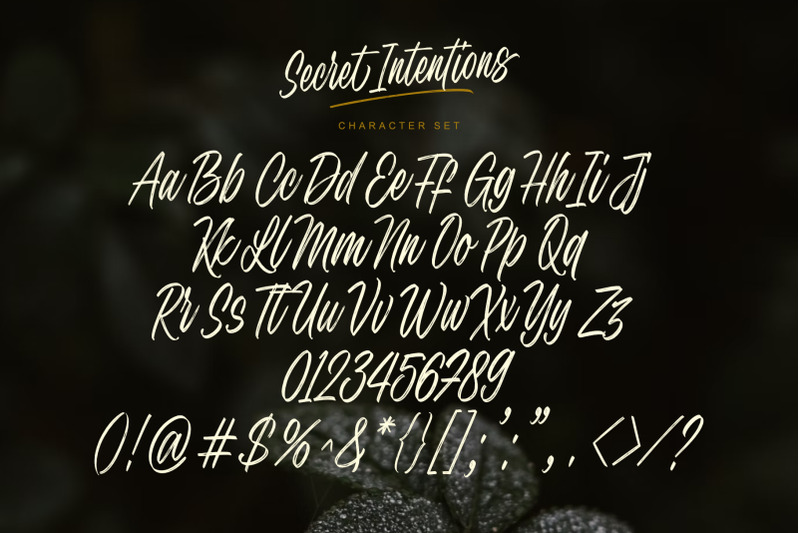 secret-intentions