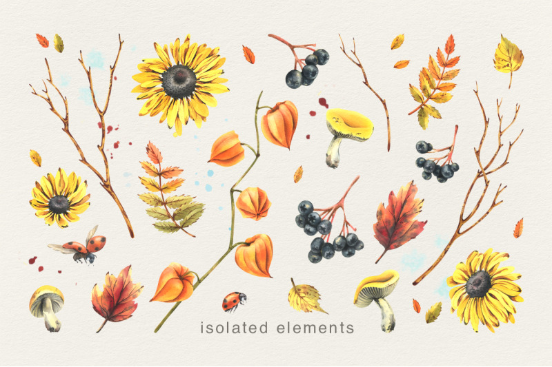 autumn-botanical-watercolor-isolated