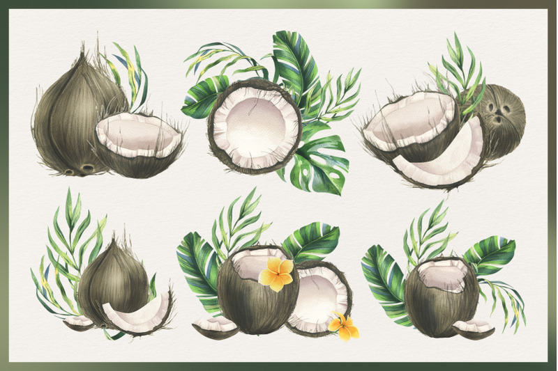 coconuts-and-tropical-leaves-watercolor-clipart
