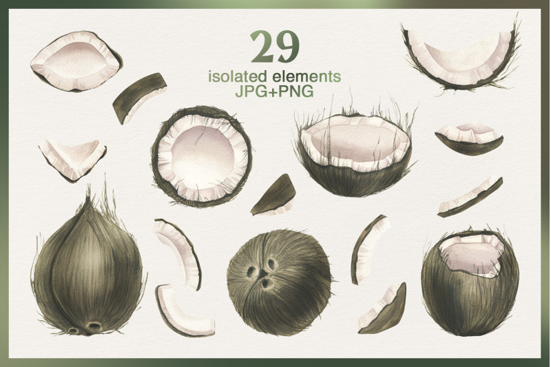 coconuts-and-tropical-leaves-watercolor-clipart