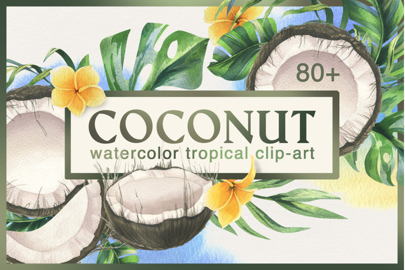 coconuts-and-tropical-leaves-watercolor-clipart