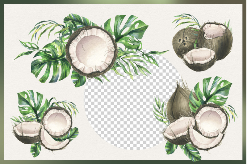 coconuts-and-tropical-leaves-watercolor-clipart