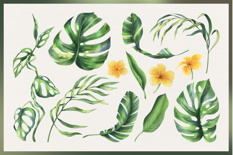 coconuts-and-tropical-leaves-watercolor-clipart