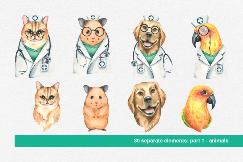 veterinary-clinic-watercolor-clip-art