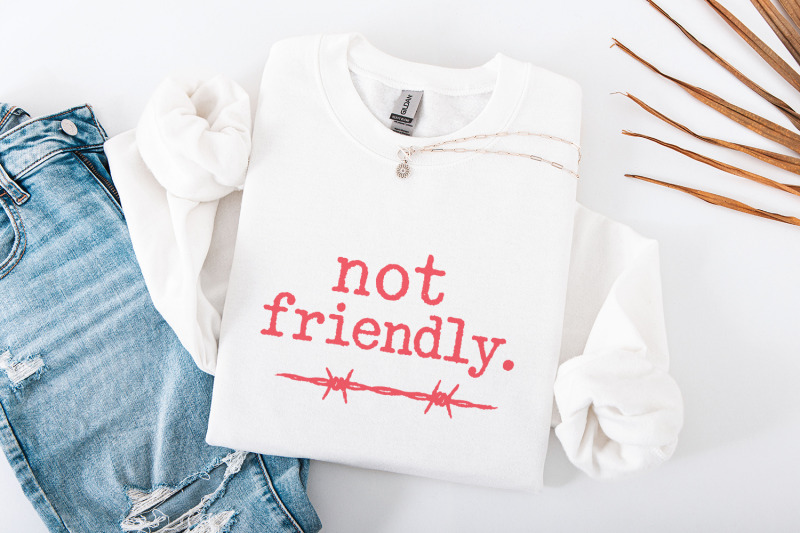 not-friendly-png-barbed-wire-printable-shirt-edgy-quote-typography
