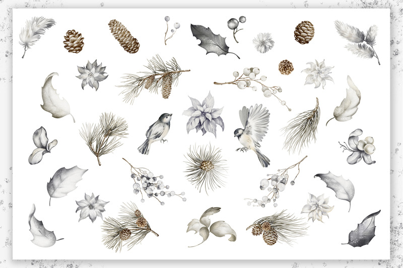 watercolor-winter-birds-amp-florals-clipart-collection
