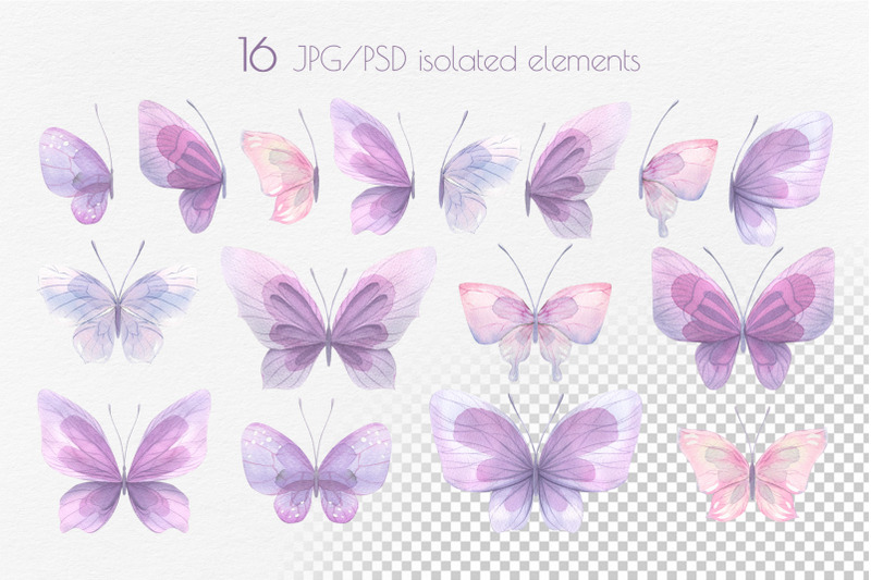 delicate-butterflies-amp-cats-mini-set